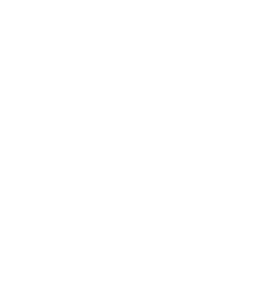 Computer Anything Logo